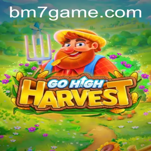 BM7.GAMES Casino App